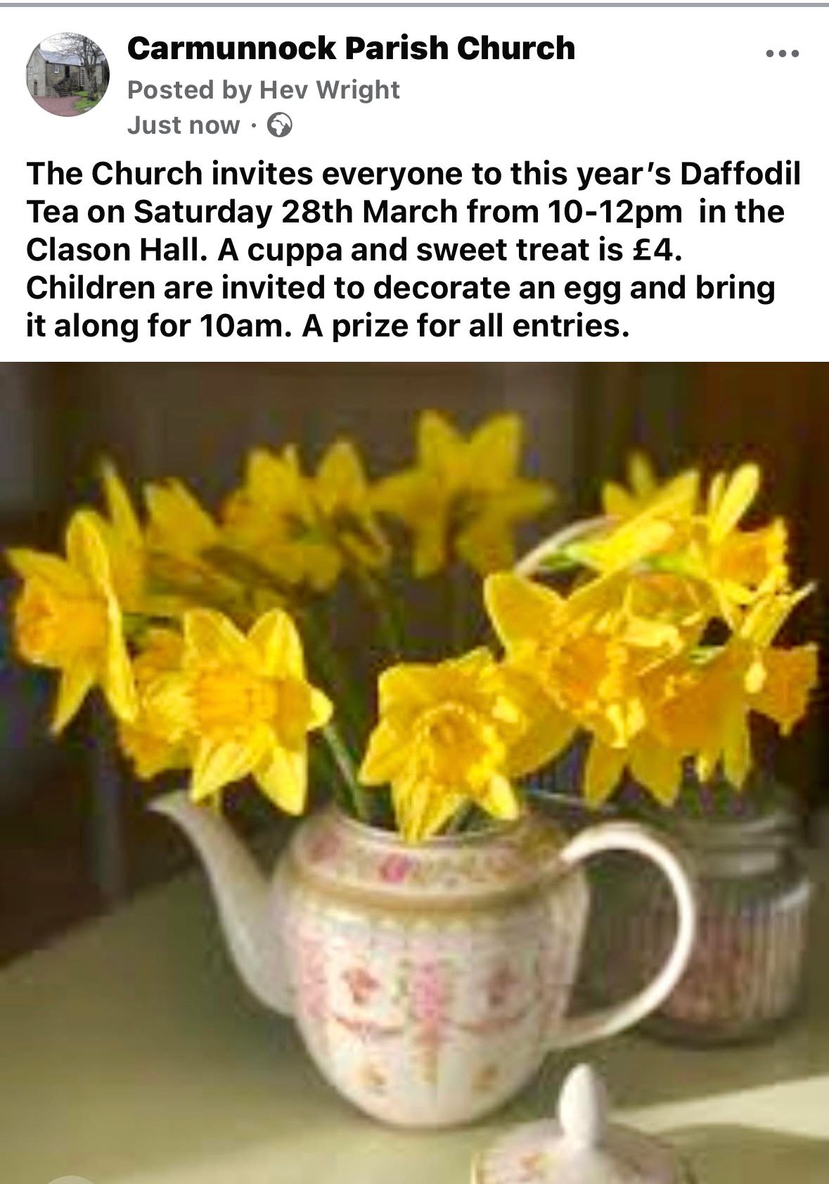 Daffodil Tea
