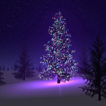 Christmas Tree Lighting