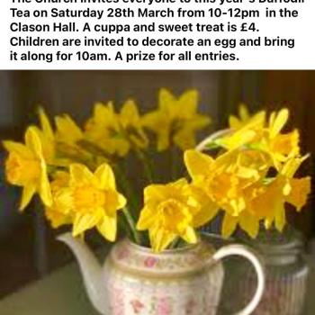 Daffodil Tea